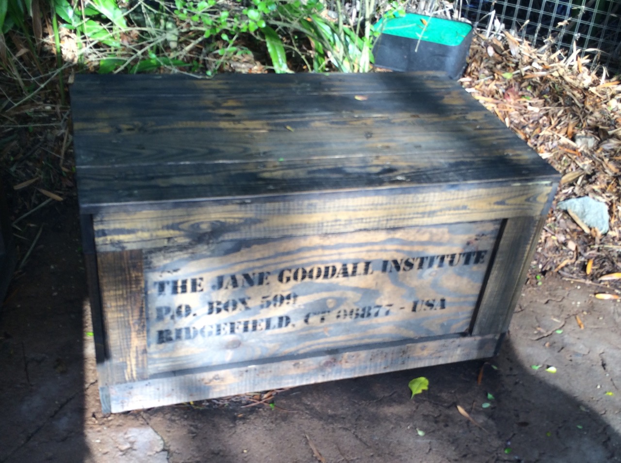 A subtle tribute to Jane Goodall near the gorilla exhibit at Disney's Animal Kingdom. Photo by J. Jeff Kober.