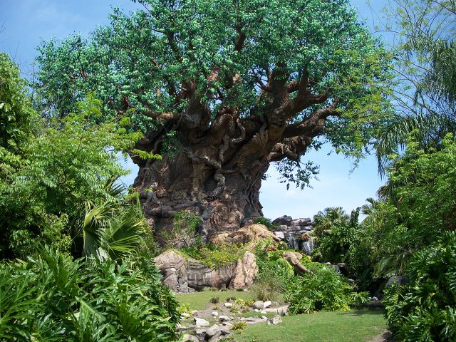 Disney's Animal Kingdom. Photo by J. Jeff Kober.